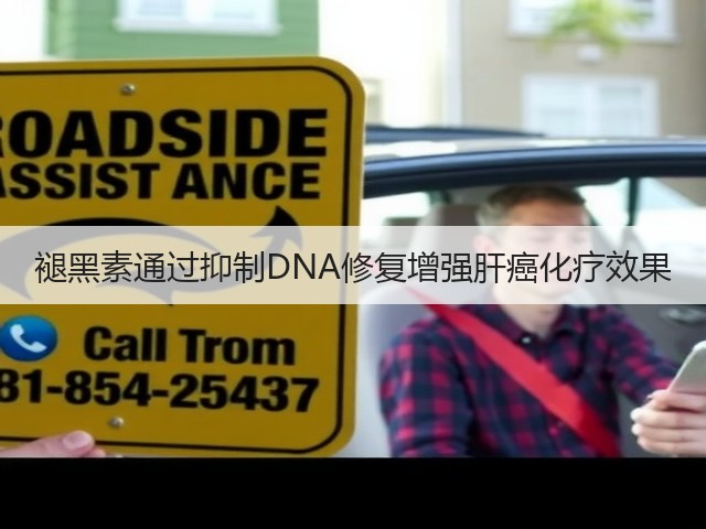 褪黑素通过抑制DNA修复增强肝癌化疗效果(图2)
