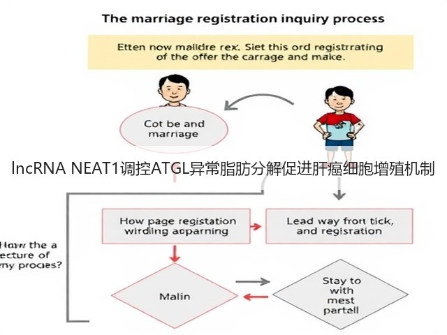 lncRNA NEAT1调控ATGL异常脂肪分解促进肝癌细胞增殖机制(图1) lncRNA NEAT1调控ATGL异常脂肪分解促进肝癌细胞增殖机制(图1)