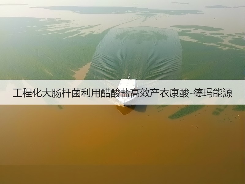 工程化大肠杆菌利用醋酸盐高效产衣康酸-德玛能源