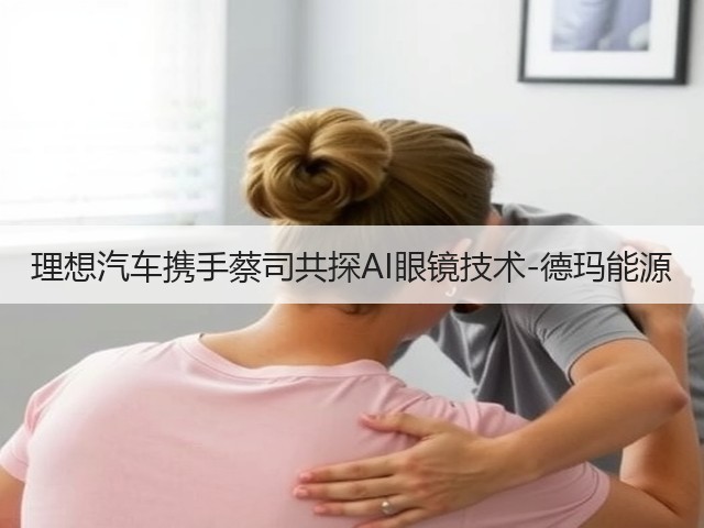 理想汽车携手蔡司共探AI眼镜技术-德玛能源(图2)