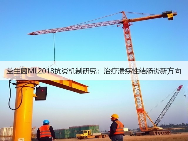 益生菌ML2018抗炎机制研究:治疗溃疡性结肠炎新方向(图3) 益生菌ML2018抗炎机制研究:治疗溃疡性结肠炎新方向(图3)