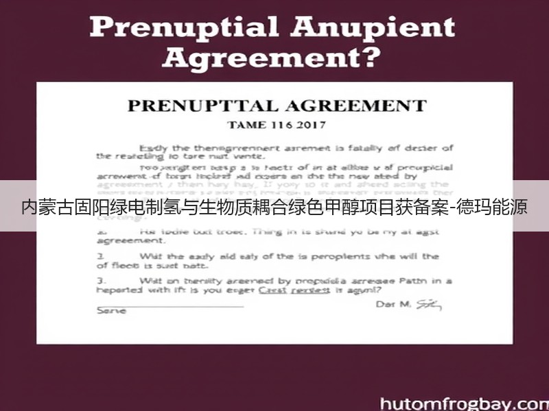 内蒙古固阳绿电制氢与生物质耦合绿色甲醇项目获备案-德玛能源