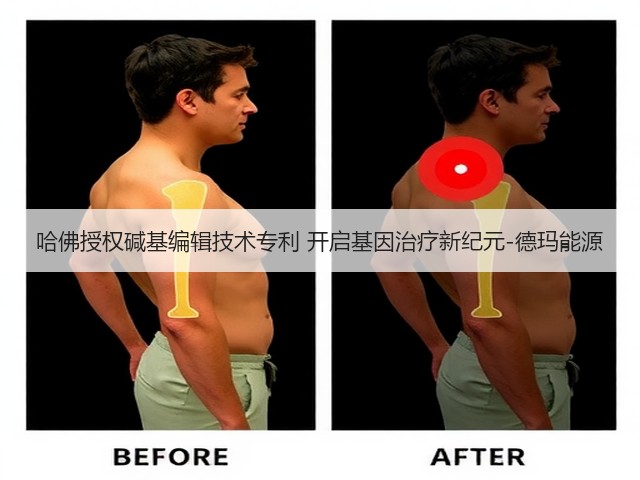 哈佛授权碱基编辑技术专利 开启基因治疗新纪元-德玛能源(图3)