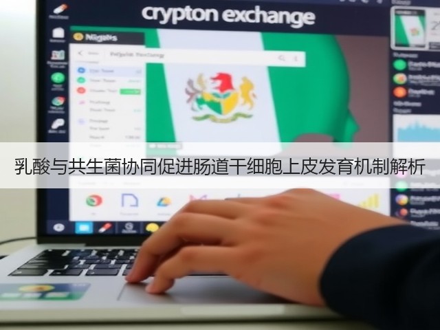 乳酸与共生菌协同促进肠道干细胞上皮发育机制解析(图3) 乳酸与共生菌协同促进肠道干细胞上皮发育机制解析(图3)