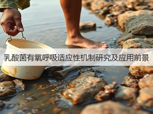 乳酸菌有氧呼吸适应性机制研究及应用前景(图1) 乳酸菌有氧呼吸适应性机制研究及应用前景(图1)