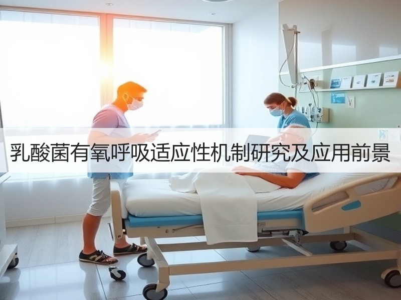 乳酸菌有氧呼吸适应性机制研究及应用前景