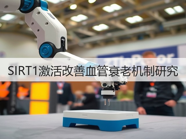 SIRT1激活改善血管衰老机制研究(图1) SIRT1激活改善血管衰老机制研究(图1)