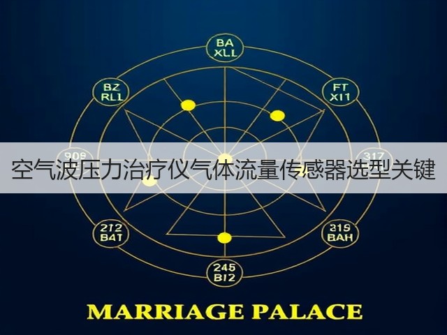 空气波压力治疗仪气体流量传感器选型关键(图1) 空气波压力治疗仪气体流量传感器选型关键(图1)
