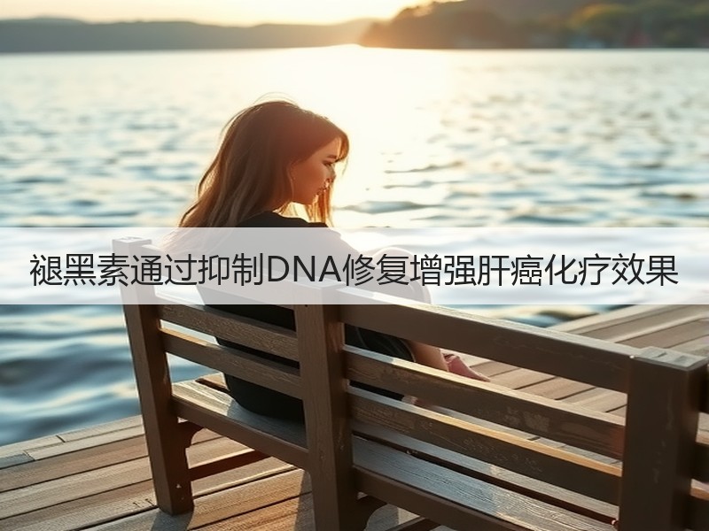 褪黑素通过抑制DNA修复增强肝癌化疗效果