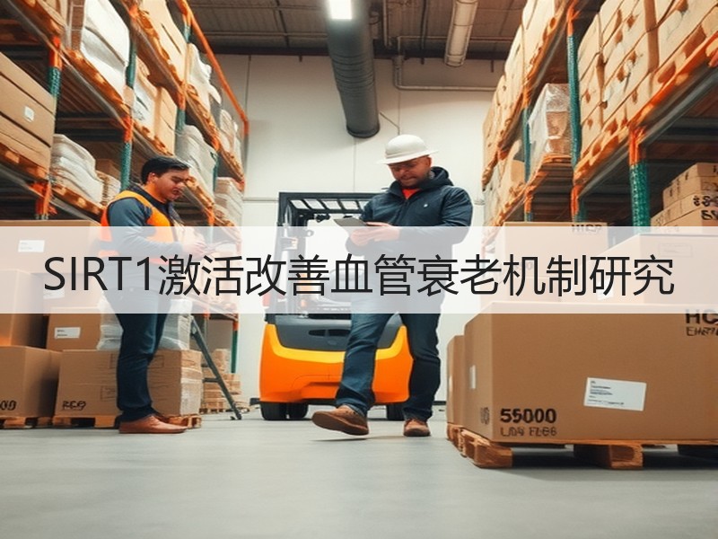 SIRT1激活改善血管衰老机制研究