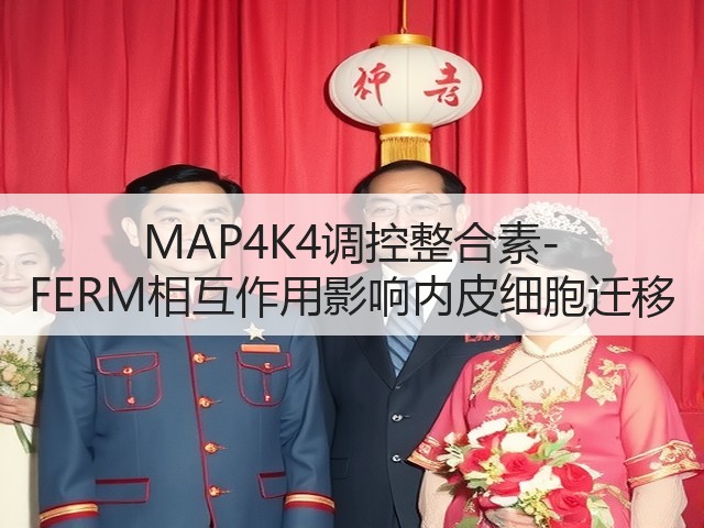 MAP4K4调控整合素-FERM相互作用影响内皮细胞迁移(图1) MAP4K4调控整合素-FERM相互作用影响内皮细胞迁移(图1)