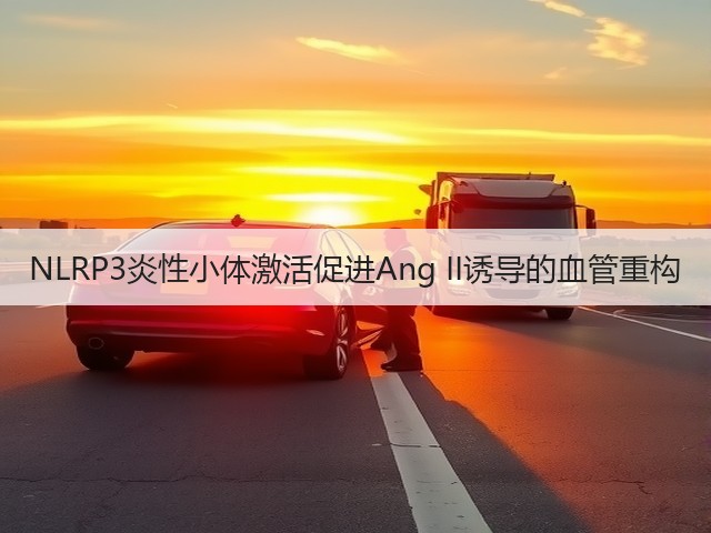 NLRP3炎性小体激活促进Ang II诱导的血管重构(图2) NLRP3炎性小体激活促进Ang II诱导的血管重构(图2)