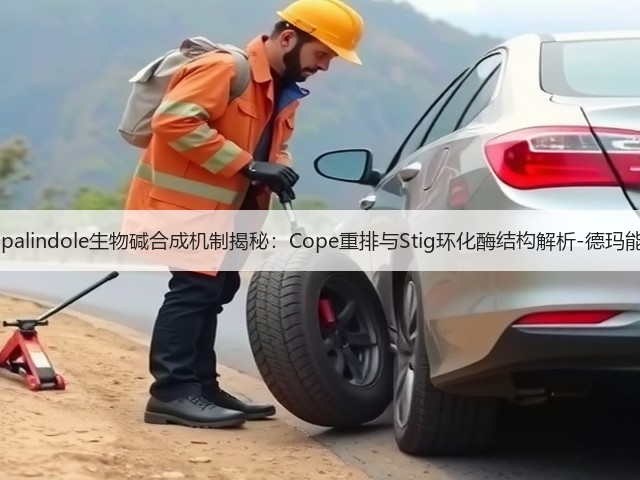 Hapalindole生物碱合成机制揭秘：Cope重排与Stig环化酶结构解析-德玛能源(图2)