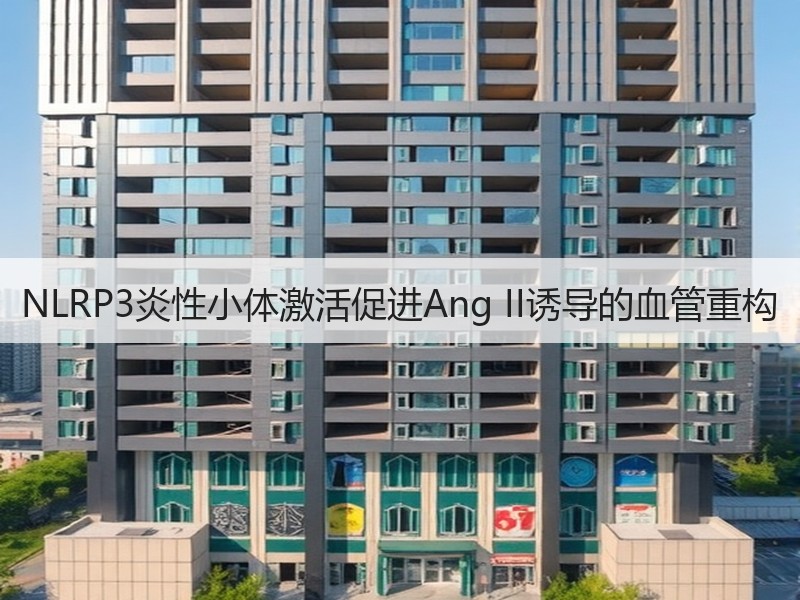 NLRP3炎性小体激活促进Ang II诱导的血管重构
