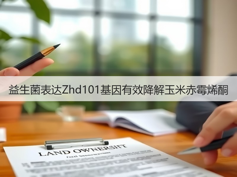 益生菌表达Zhd101基因有效降解玉米赤霉烯酮