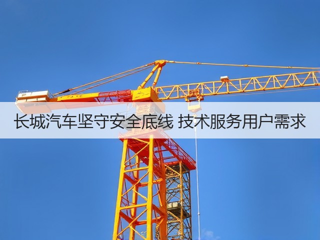 长城汽车坚守安全底线 技术服务用户需求(图2)