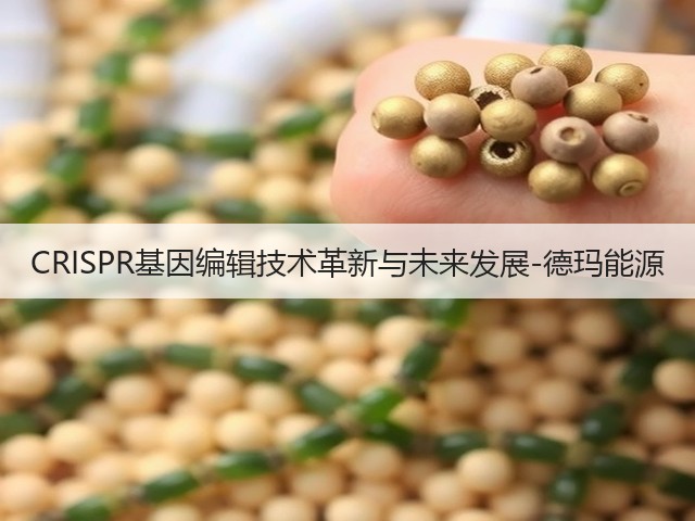 CRISPR基因编辑技术革新与未来发展-德玛能源(图3)