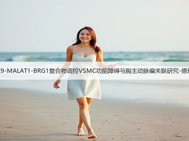 HDAC9-MALAT1-BRG1复合物调控VSMC功能障碍与胸主动脉瘤关联研究-德玛能源(图1)