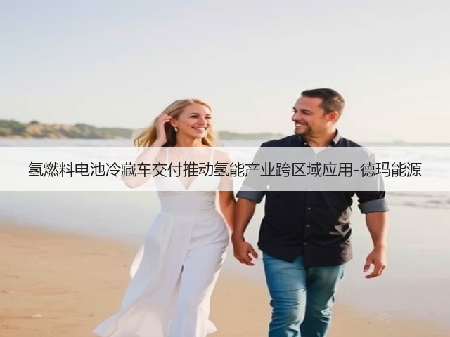 氢燃料电池冷藏车交付推动氢能产业跨区域应用-德玛能源(图3) 氢燃料电池冷藏车交付推动氢能产业跨区域应用-德玛能源(图3)