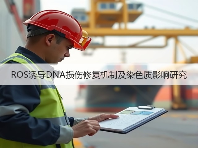 ROS诱导DNA损伤修复机制及染色质影响研究(图2) ROS诱导DNA损伤修复机制及染色质影响研究(图2)
