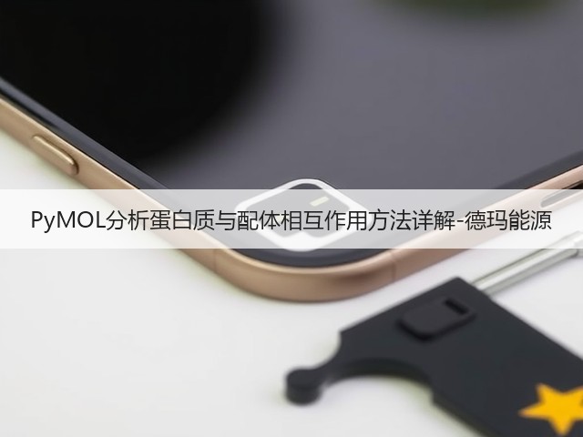 PyMOL分析蛋白质与配体相互作用方法详解-德玛能源(图2)