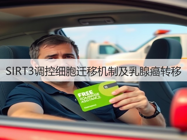 SIRT3调控细胞迁移机制及乳腺癌转移(图3)