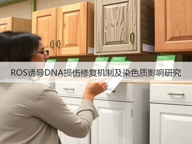 ROS诱导DNA损伤修复机制及染色质影响研究(图3) ROS诱导DNA损伤修复机制及染色质影响研究(图3)
