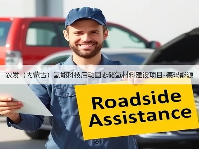 农发（内蒙古）氢能科技启动固态储氢材料建设项目-德玛能源(图2)