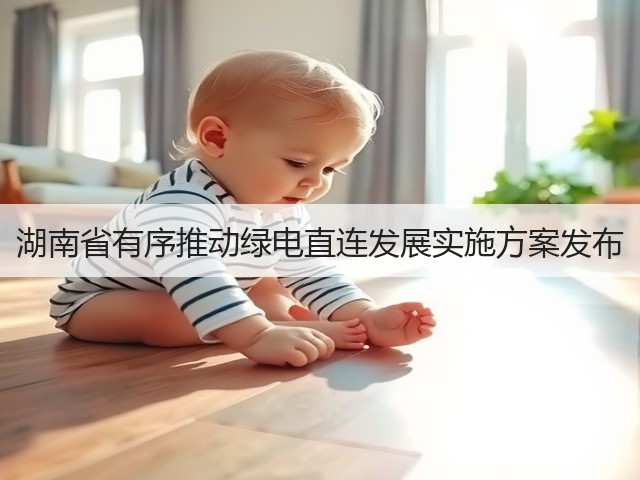 湖南省有序推动绿电直连发展实施方案发布(图2) 湖南省有序推动绿电直连发展实施方案发布(图2)