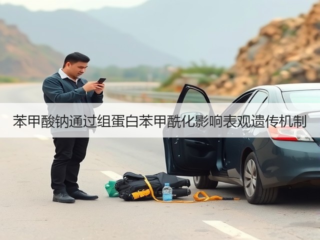 苯甲酸钠通过组蛋白苯甲酰化影响表观遗传机制(图3) 苯甲酸钠通过组蛋白苯甲酰化影响表观遗传机制(图3)