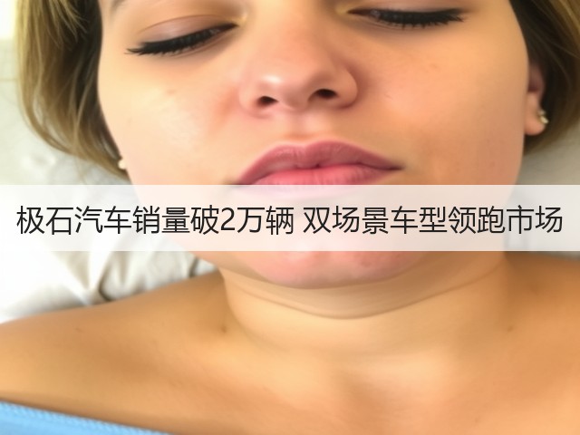 极石汽车销量破2万辆 双场景车型领跑市场(图2)