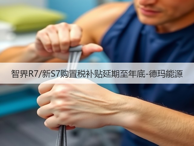 智界R7/新S7购置税补贴延期至年底-德玛能源(图2) 智界R7/新S7购置税补贴延期至年底-德玛能源(图2)